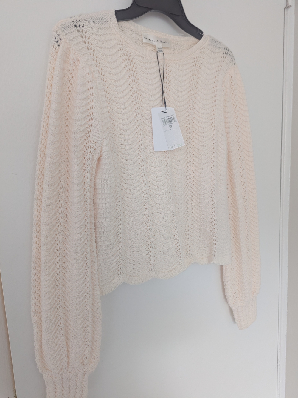 Woman's Chelsea & Theodore Pointelle Knit Sweater - Size M - Honest Ivory